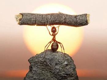 那些打不倒你的，终究让你更强大